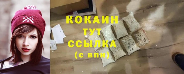 дживик Карпинск